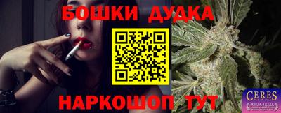 индика Кумертау