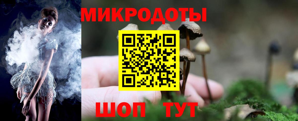 Галлюциногенные грибы Psilocybine cubensis  Вход с VPN  Ейск 